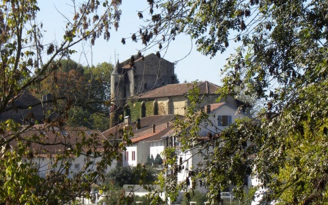 bourg et arbres