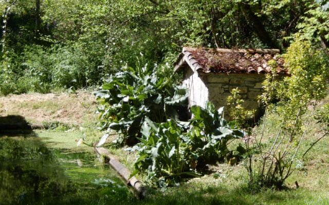 lavoir