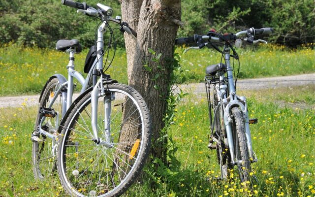 velo